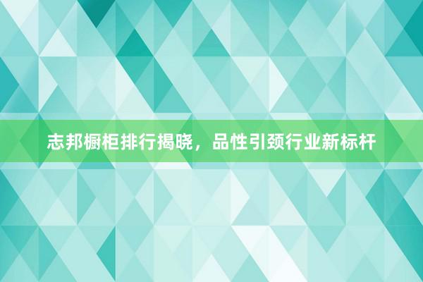 志邦橱柜排行揭晓，品性引颈行业新标杆